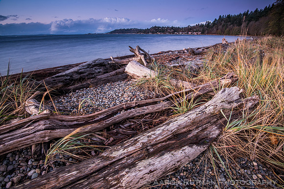 Lincoln Park, West Seattle, WA