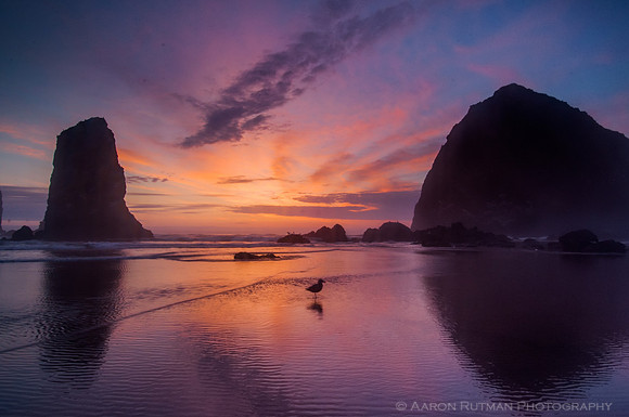 Haystack Rock Sunset, Cannon Beach, OR