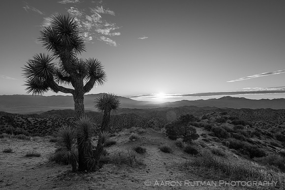 Eureka Peak, Joshua Tree National Park