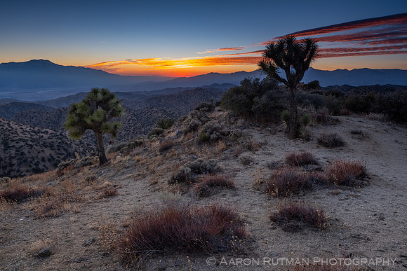 Eureka Peak, Joshua Tree National Park