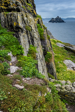 Little Skellig from Skellig Michael