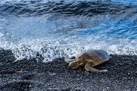 Kiholo Bay