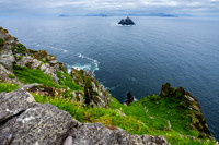 Little Skellig from Skellig Michael