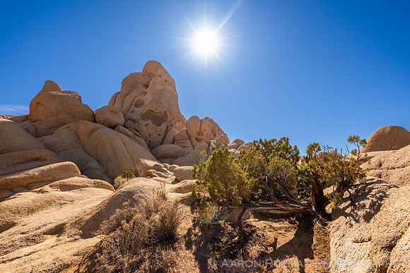Skull Rock Nature Area, Joshua Tree National Park