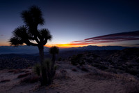 Eureka Peak, Joshua Tree National Park