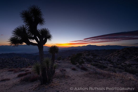 Eureka Peak, Joshua Tree National Park
