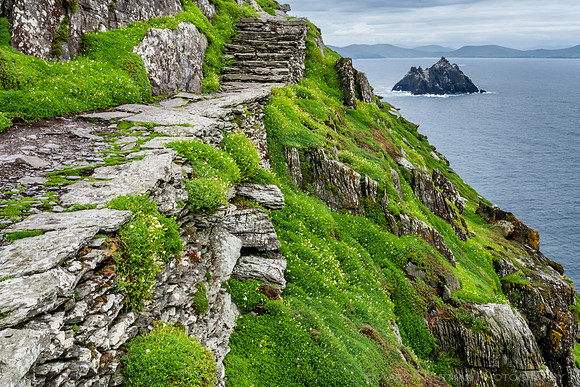 Little Skellig from Skellig Michael
