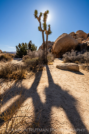 Hall of Horrors Nature Area, Joshua Tree National Park