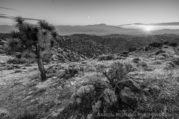 Eureka Peak, Joshua Tree National Park