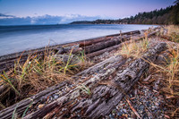 Lincoln Park, West Seattle, WA