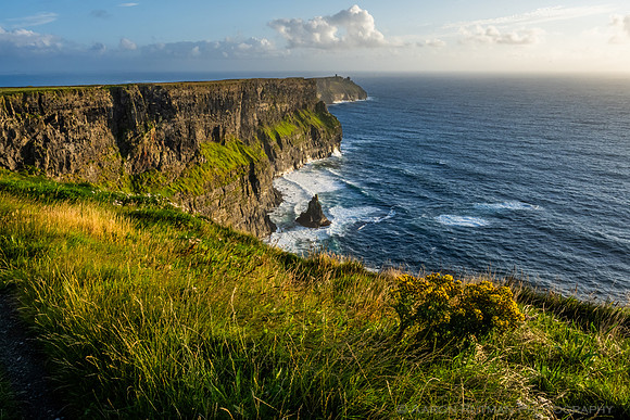 Cliffs of Moher, County Clare
