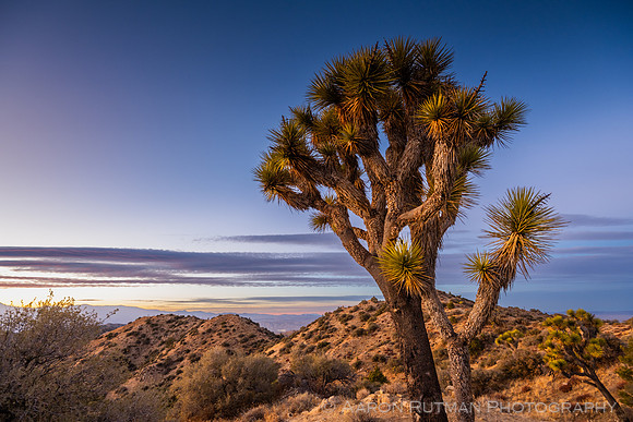 Eureka Peak, Joshua Tree National Park