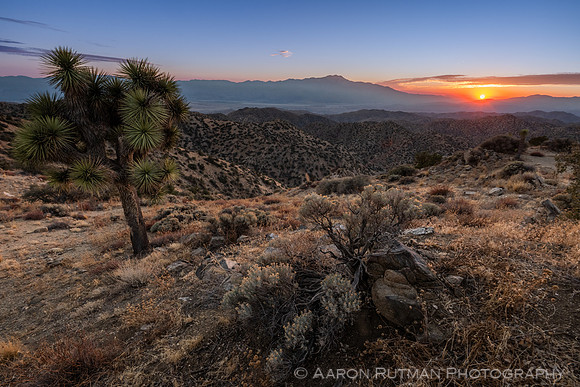 Eureka Peak, Joshua Tree National Park