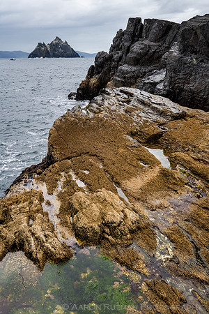 Little Skellig from Skellig Michael