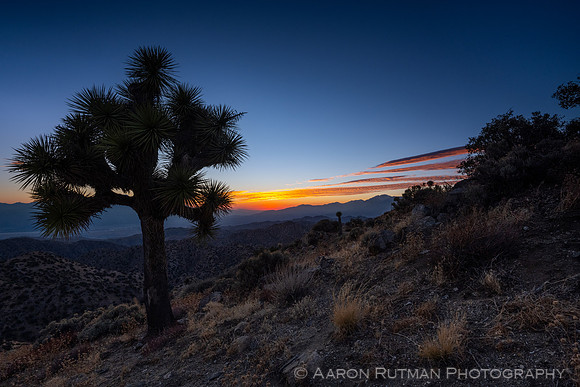 Eureka Peak, Joshua Tree National Park