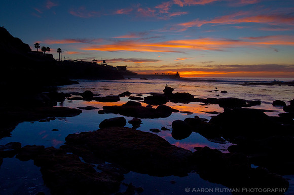 Low Tide, La Jolla Cove