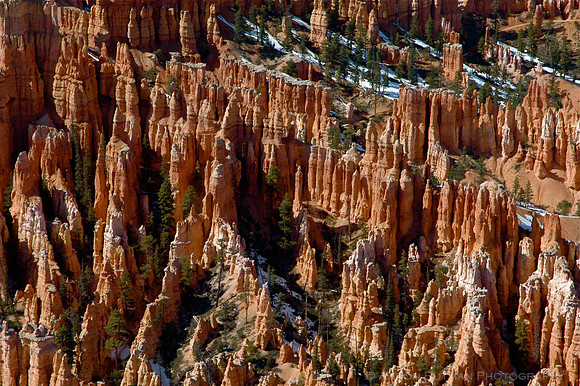 Hoodoos, Bryce Canyon
