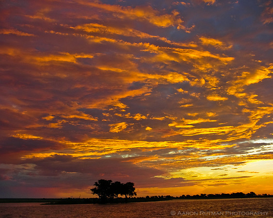 Lone tree, Chobe River Sky