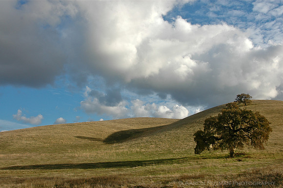 Concord Hills