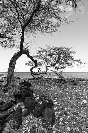 Kiholo Bay