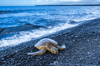 Kiholo Bay