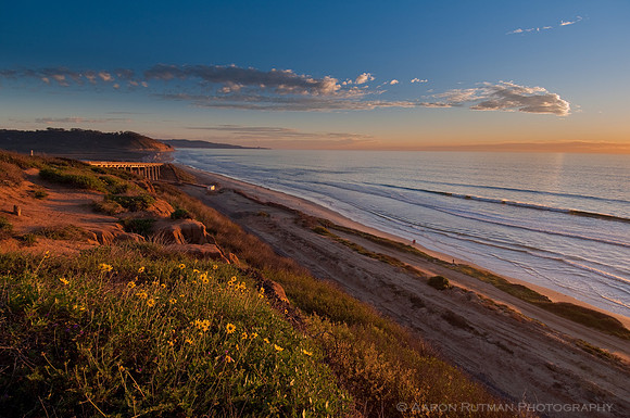 Torrey Pines State Beach from Del Mar