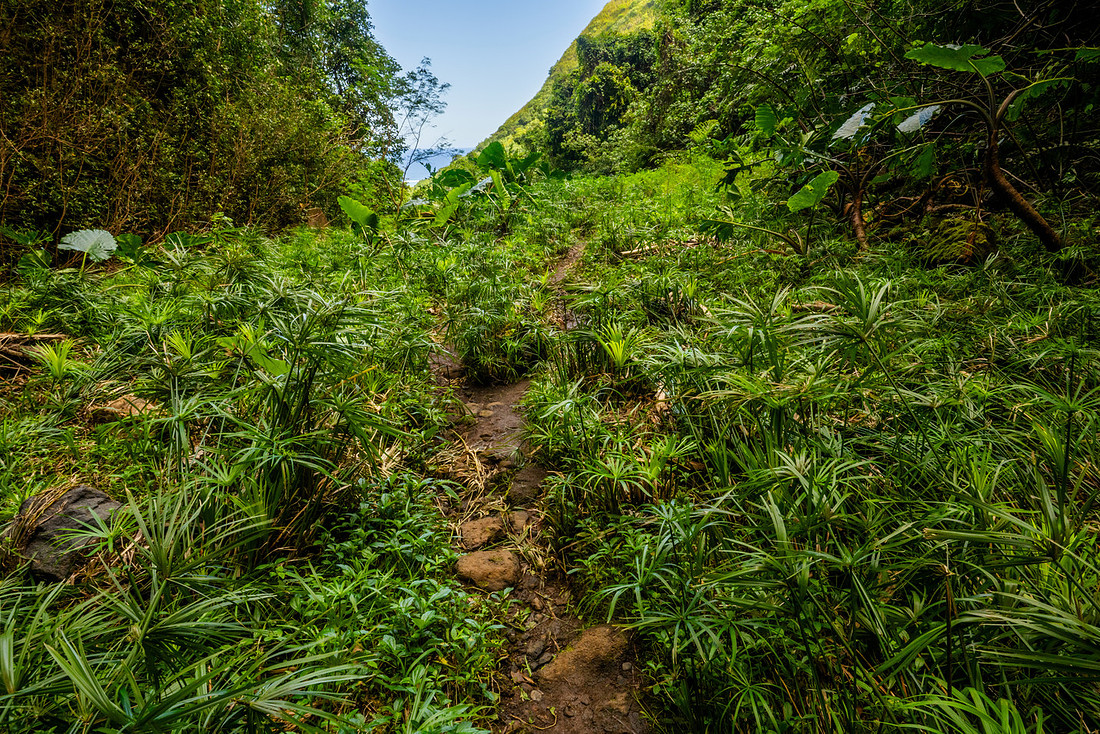 Maruavana’a waterfall: