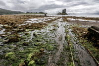 Castle Stalker on Loch Laich, County Argyll, Scotland