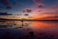 Loner at La Jolla Shores