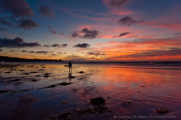 Loner at La Jolla Shores