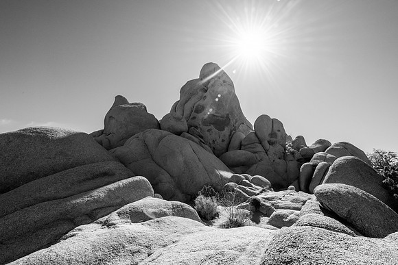 Skull Rock Nature Area, Joshua Tree National Park