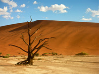 Deadvlei, Namib desert, Namibia