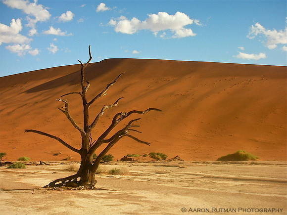 Deadvlei, Namib desert, Namibia