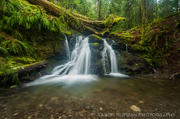 Rustic Falls, Moran State Park