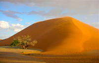 Dune Near Sossusvlei, Namibia