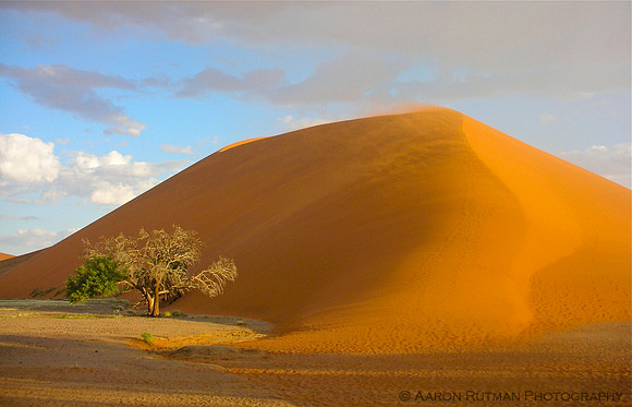 Dune Near Sossusvlei, Namibia