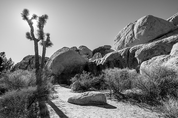 Hall of Horrors Nature Area, Joshua Tree National Park