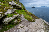 Little Skellig from Skellig Michael