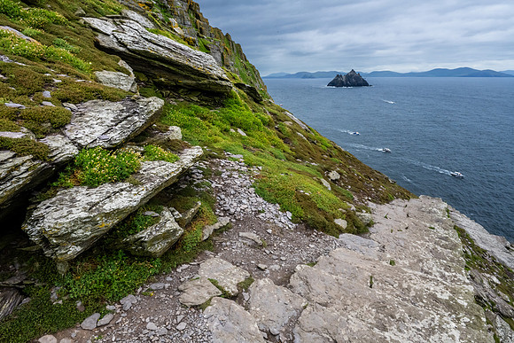 Little Skellig from Skellig Michael