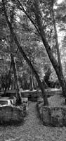 Henry Miller House ruins