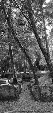 Henry Miller House ruins