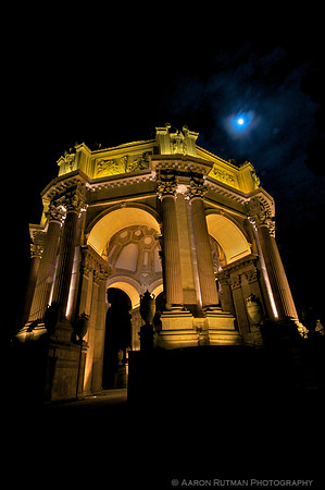 Palace of Fine Arts (portrait)