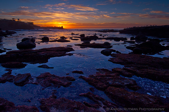La Jolla Cove Low Tide