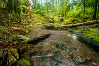 Rustic Falls, Moran State Park