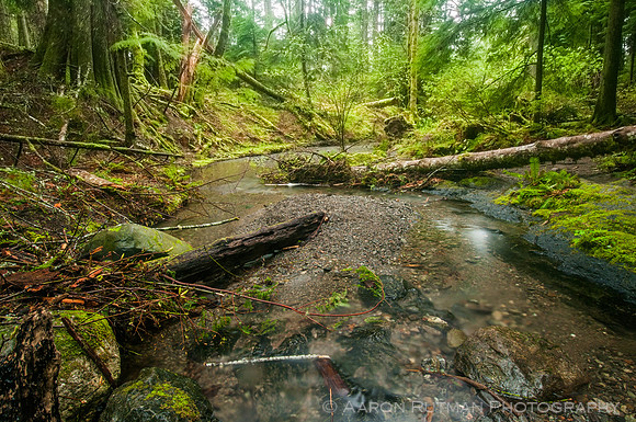Rustic Falls, Moran State Park