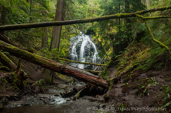 Cascade Falls, Moran State Park