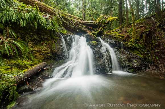 Rustic Falls, Moran State Park