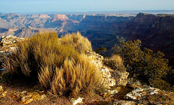 Over the canyon rim