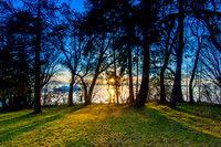 Lincoln Park