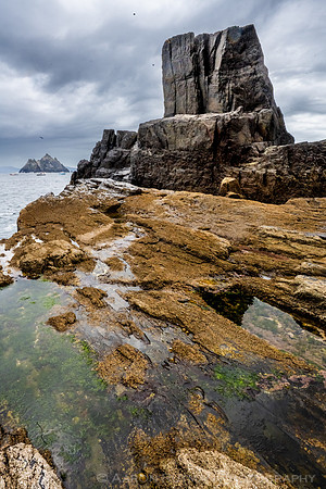 Little Skellig from Skellig Michael